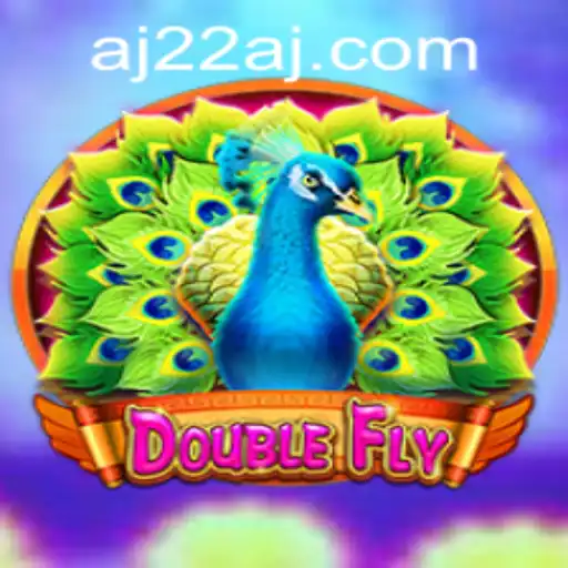 DoubleFly: The Ultimate Gaming Experience